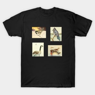 Birds of Canada Pack 2 - Chickadee, Blue Jay, Canada Goose, Wood Duck T-Shirt